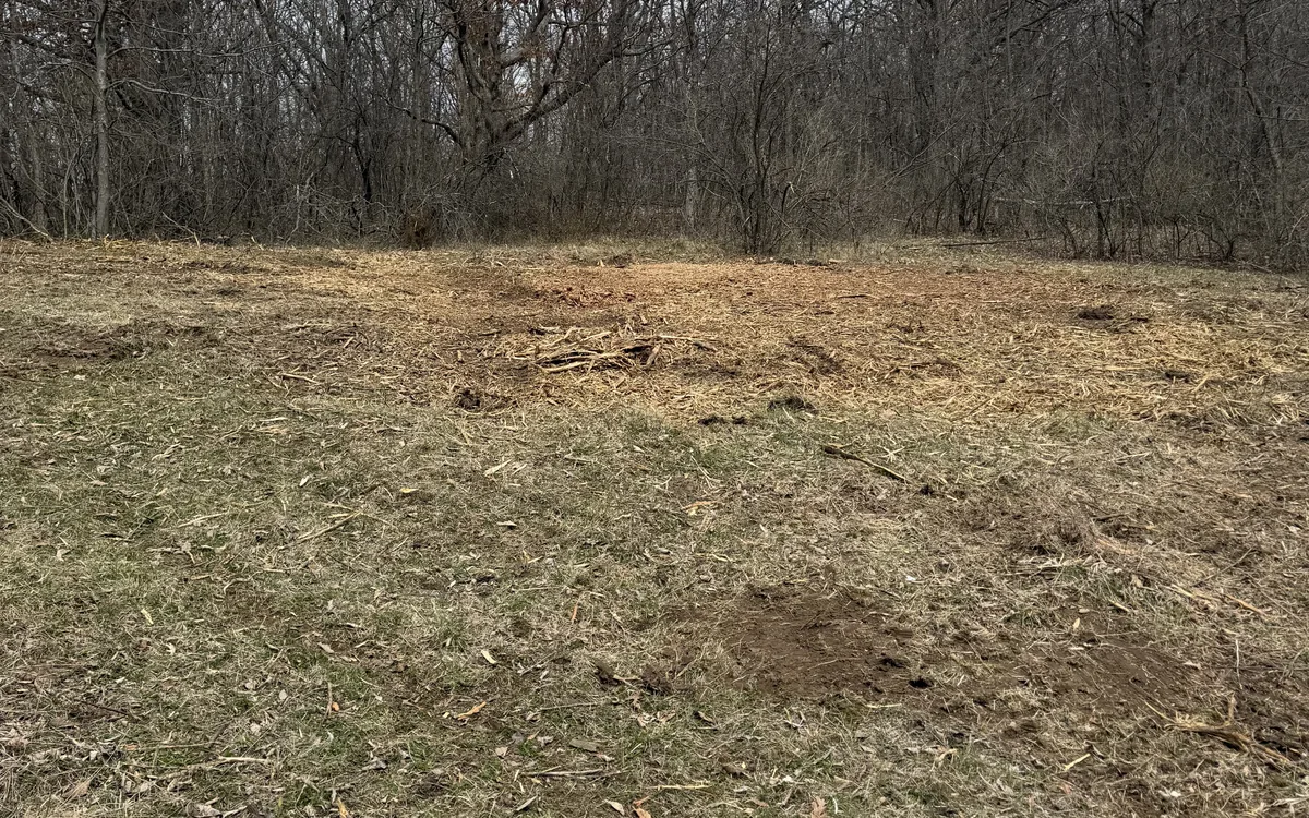 Freshly mowed field edge with the woods behind it