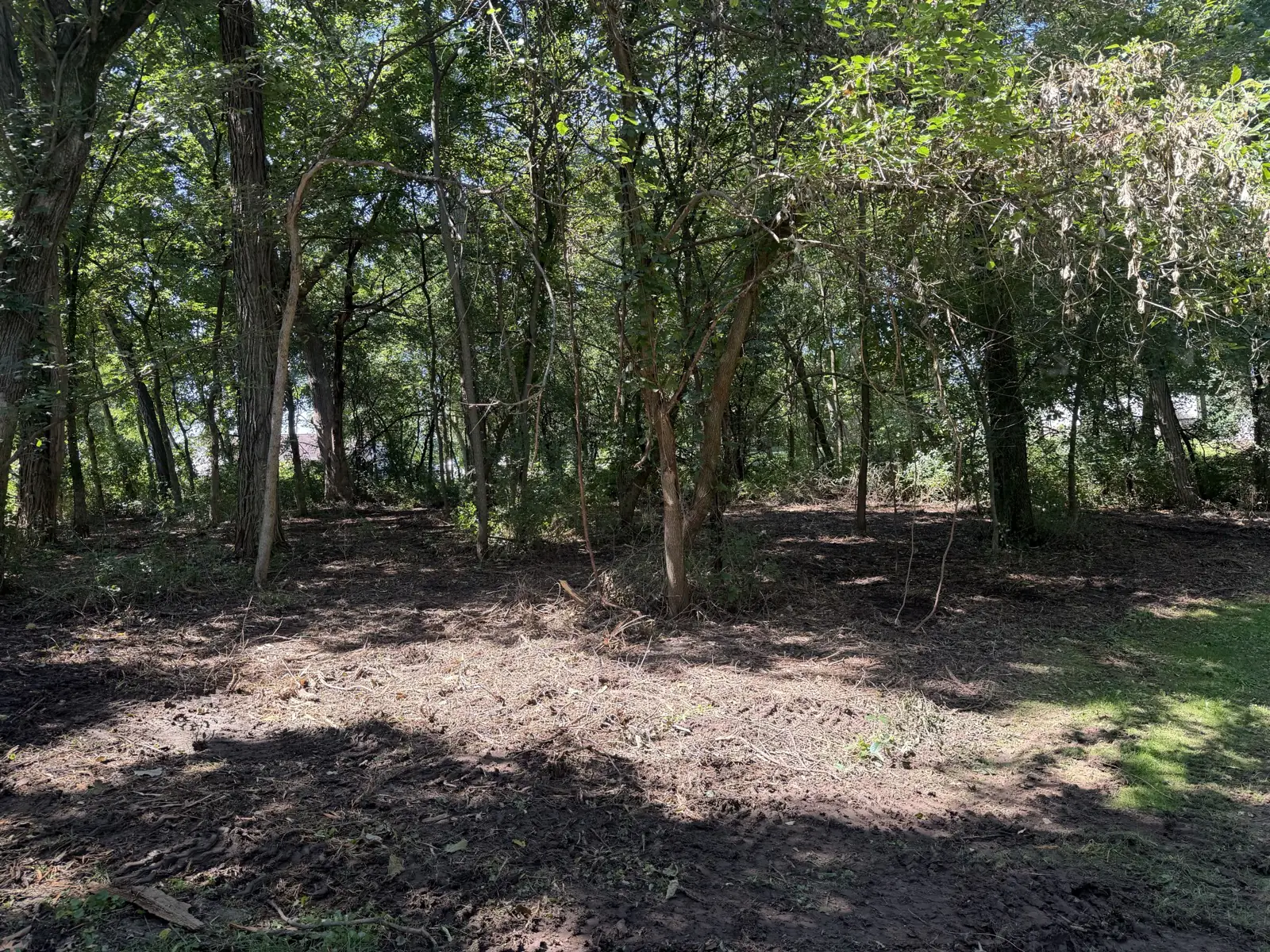 Land Clearing & Forestry Mulching in Muskego, WI