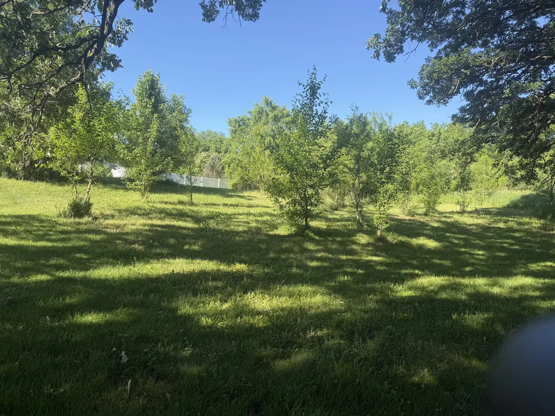 Open, restored green parkland after land clearing