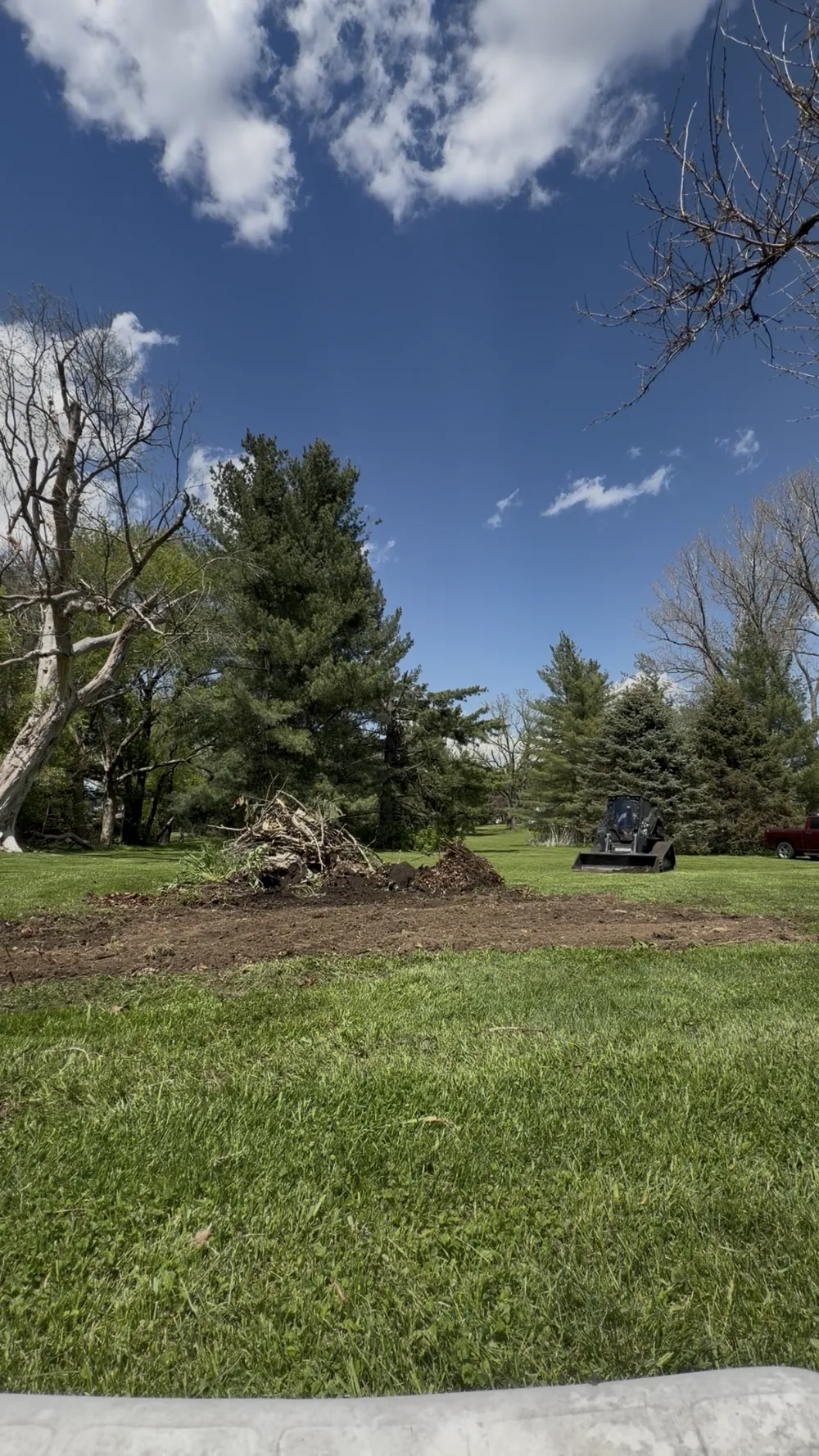 Restored open lawn after clearing overgrowth