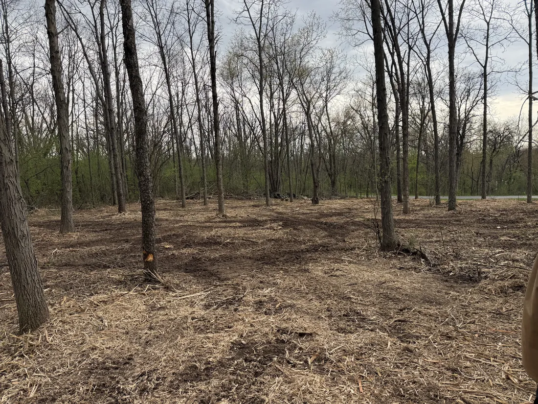 Forestry mulching clearing a wooded area