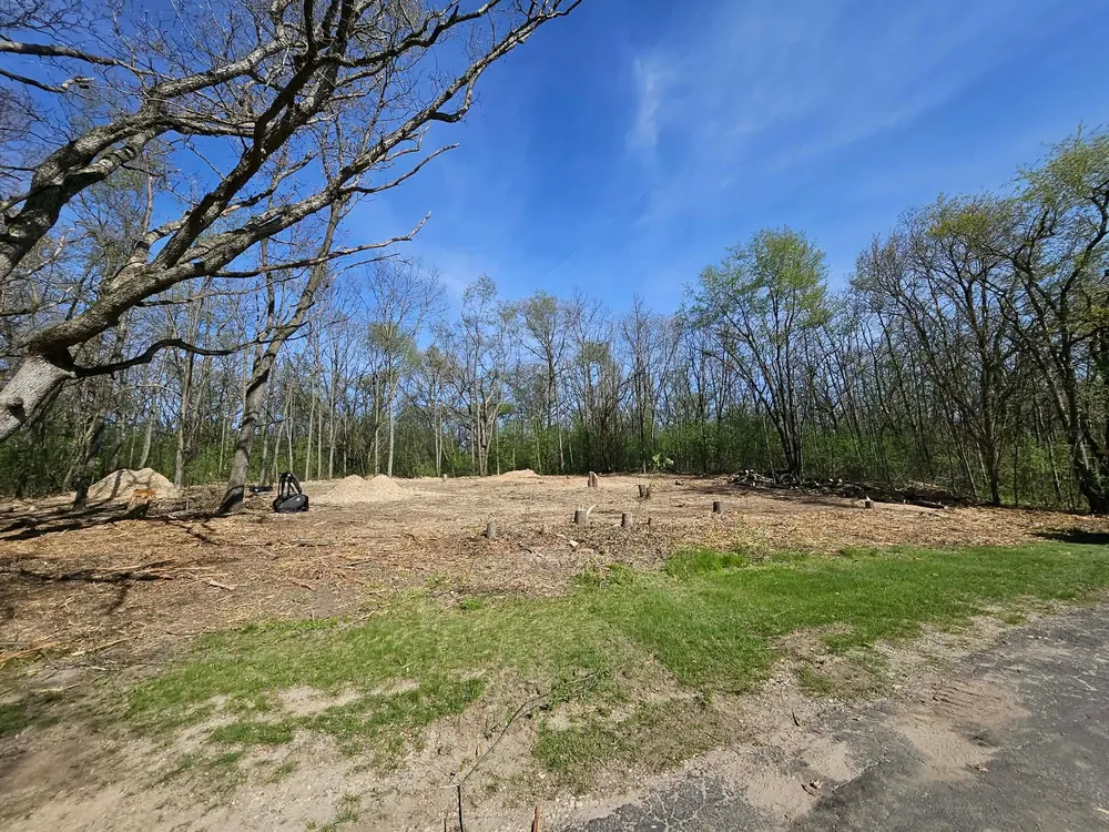 Open, usable ground after brush clearing by Proper Grounds