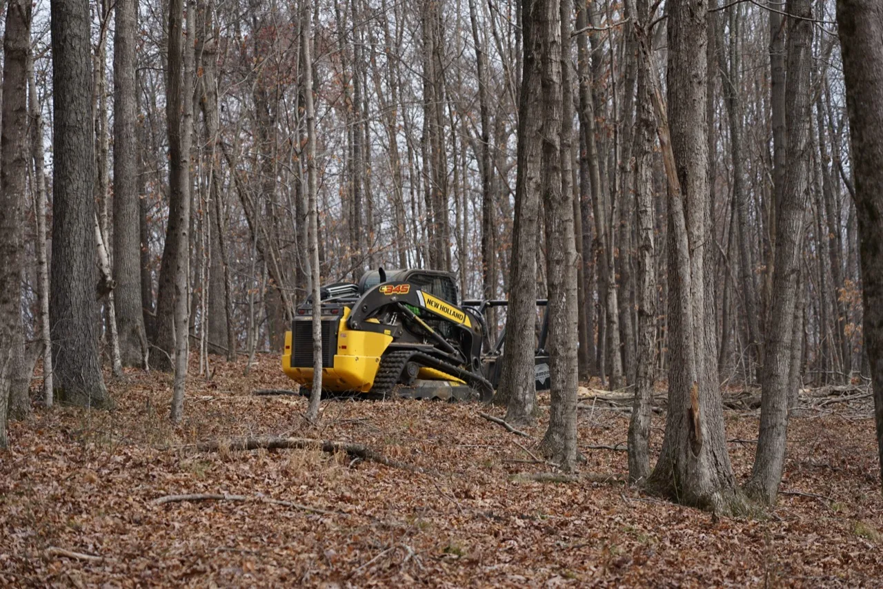 A compact track loader running a forestry mulcher through bare winter woods in southern Wisconsin