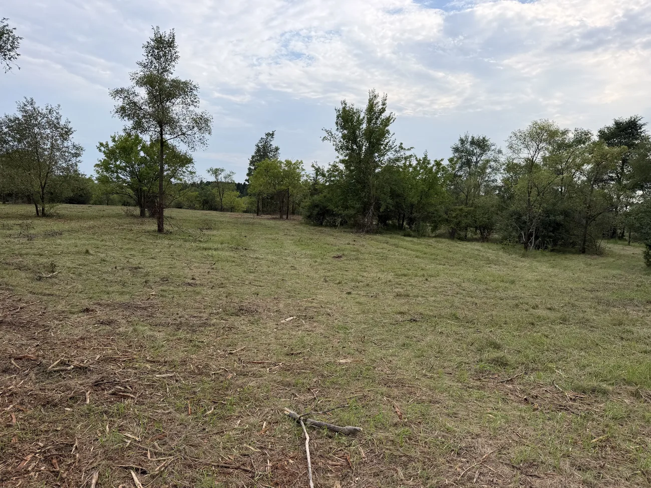 Brush Clearing in Whitewater, WI