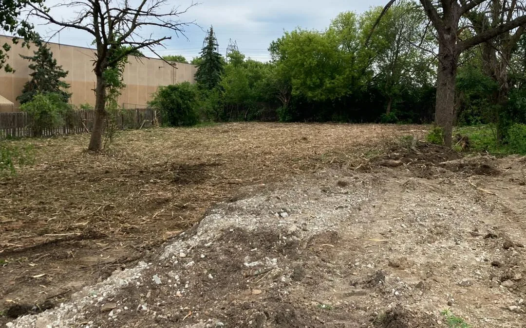 Cleared and rough-graded ground beside a commercial building after a thick quarter-acre clearing