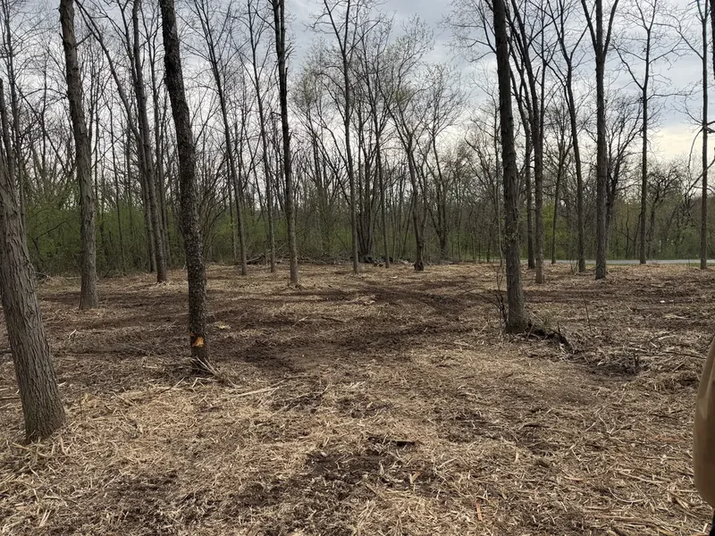 Buckthorn Removal in Whitewater, WI