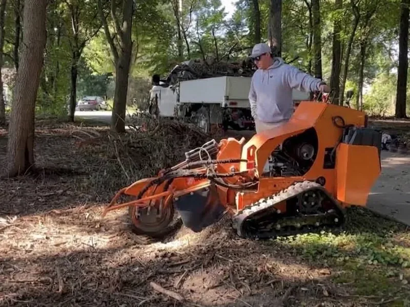 Stump Grinding & Removal in Whitewater, WI