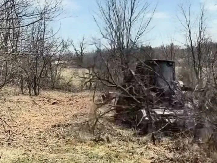 Underbrushing in Whitewater, WI